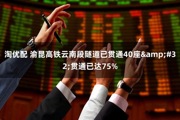 淘优配 渝昆高铁云南段隧道已贯通40座&#32;贯通已达75%