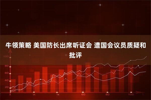 牛领策略 美国防长出席听证会 遭国会议员质疑和批评