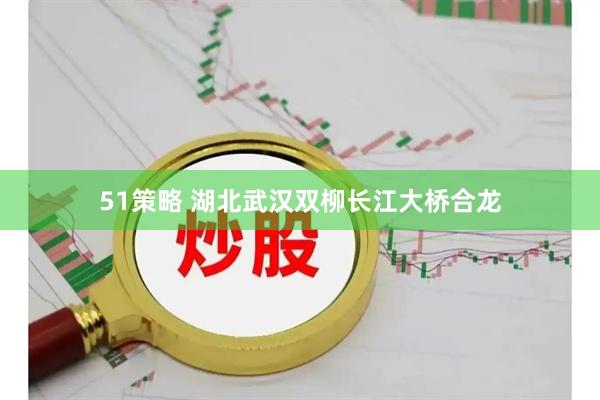 51策略 湖北武汉双柳长江大桥合龙