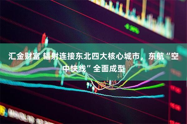 汇金财富 辐射连接东北四大核心城市，东航“空中快线”全面成型
