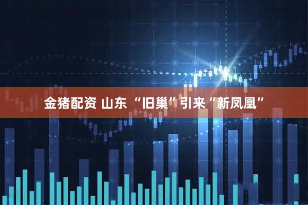 金猪配资 山东 “旧巢”引来“新凤凰”