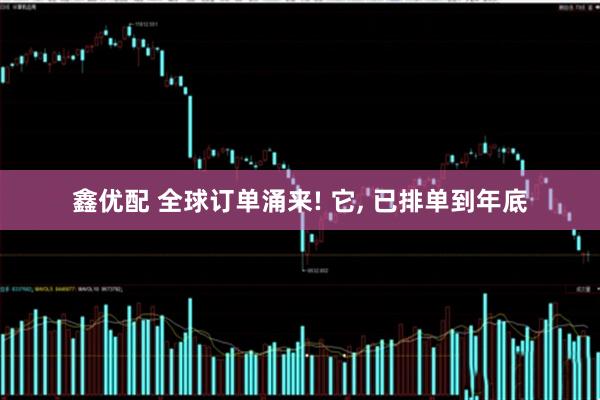 鑫优配 全球订单涌来! 它, 已排单到年底