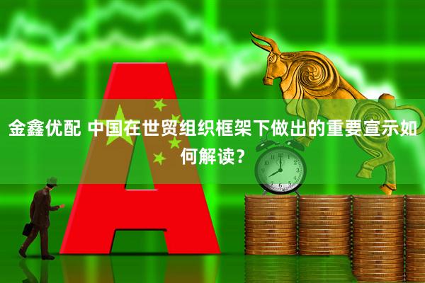 金鑫优配 中国在世贸组织框架下做出的重要宣示如何解读？