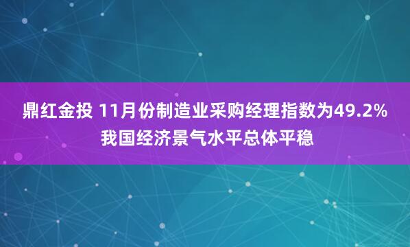 鼎红金投 11月份制造业采购经理指数为49.2% 我国经济景气水平总体平稳